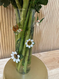 Natural Best Glass Vase
