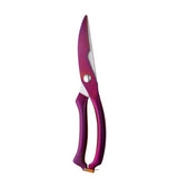 Blaze Kitchen Scissors