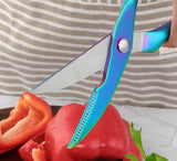 Blaze Kitchen Scissors