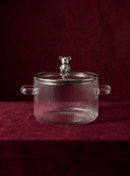 Copia Glass Saucepan – Transparent Pot for Stovetop Cooking